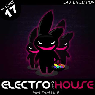 Electro House Sensation Vol. 17