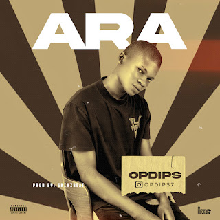 [MUSIC] Opdips - Ara