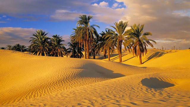 Desert, Sahara, Talentedjobless, Beauty