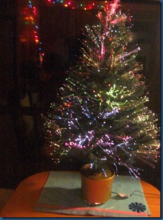 Christmas2010 (2)