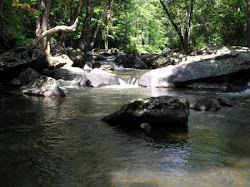 brandy wine creek