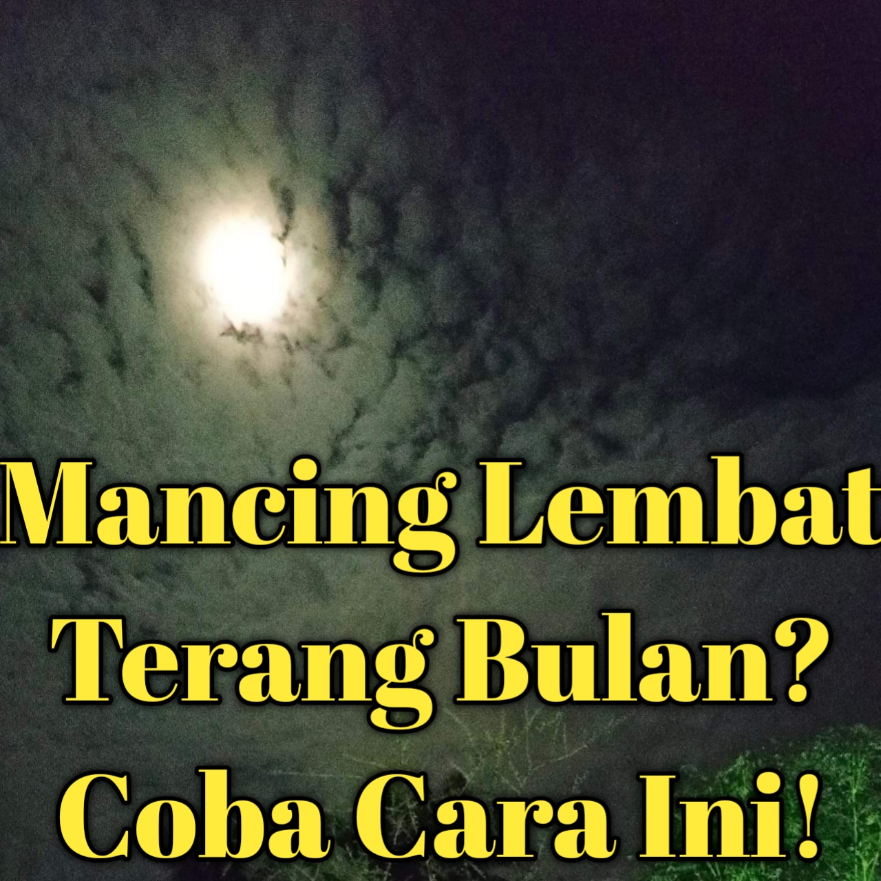 Mancing ikan lele / lembat terang bulan dimalam hari