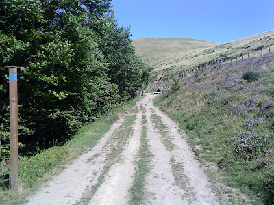 by E.V.Pita....St. James Way: from St Jean Pied de Port to Roncesvalles / por E.V.Pita.... El Camino Francés por los Pirineos a Roncesvalles / por E.V.Pita.... O Camiño por Roncesvalles