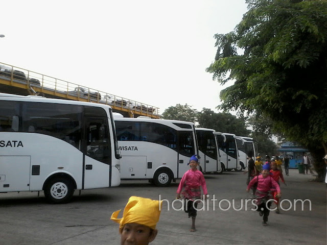 Bus pariwisata Makassar 2016