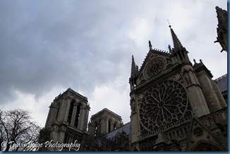 DSC_3360