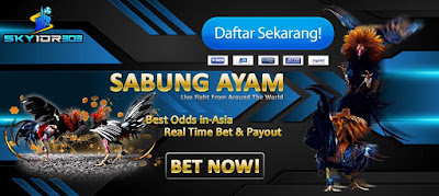 Situs Daftar Judi Online Sabung Ayam Pw Sv388 (sv288)