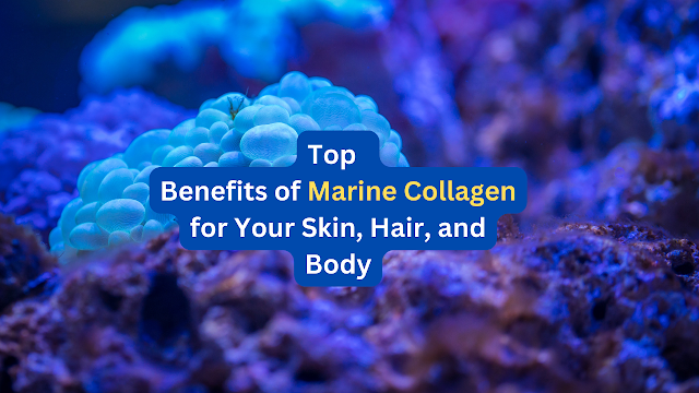 The Top Remarkable Benefits of Marine Collagen for Your Skin, Hair, and Body