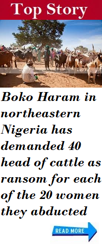 http://chat212.blogspot.com/2014/06/boko-haram-demand-cattle-as-ransom-for.html