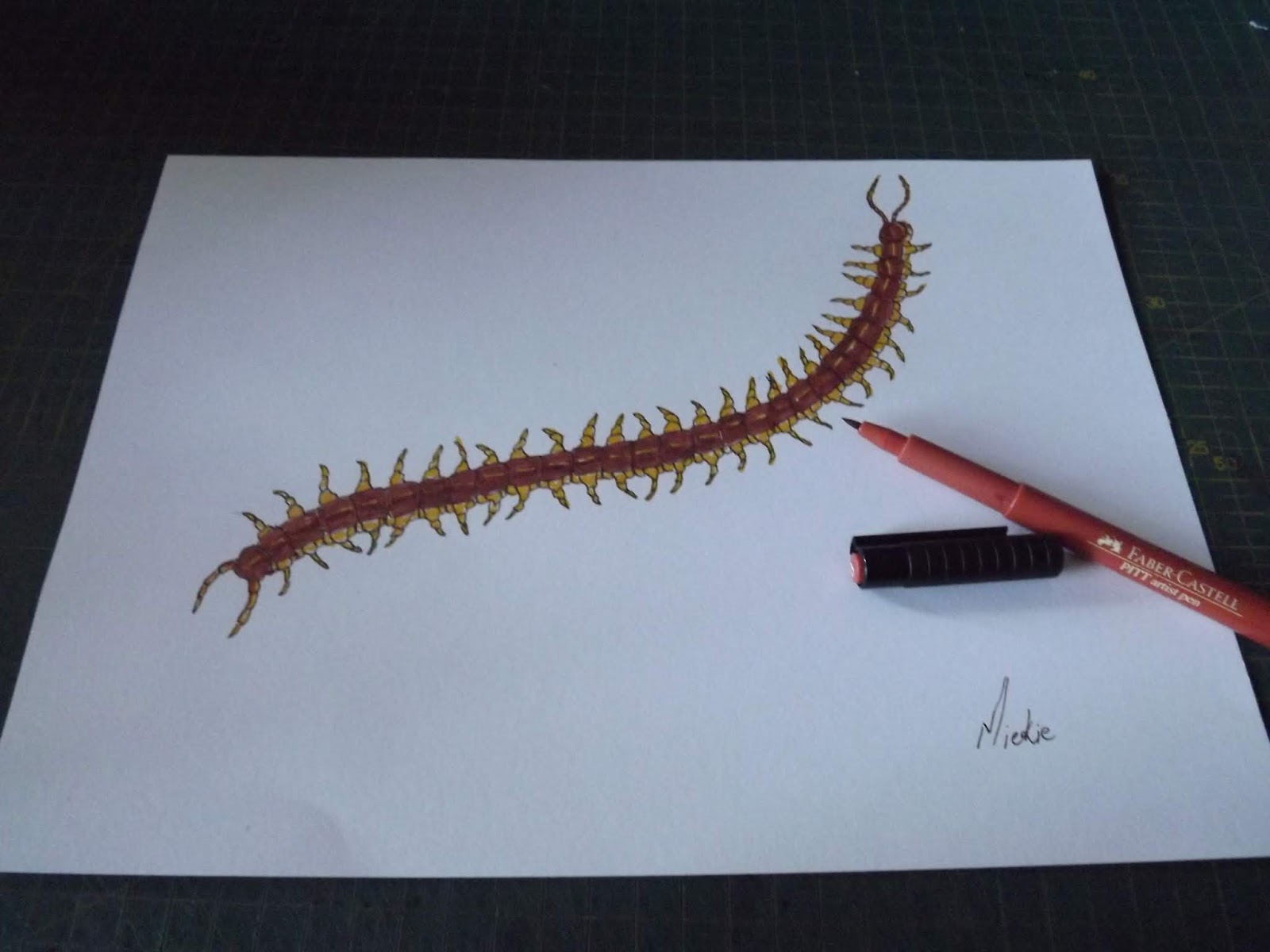 A Pretty Talent Blog: How to draw: A Centipede