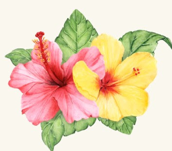 Hawaiian flower drawings