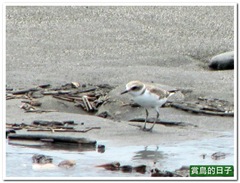 20111001_111532_110_Taitung
