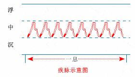 疾脉