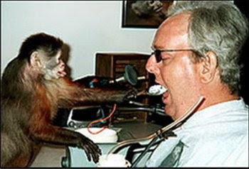 The top 10 Famous Monkeys in Science Seen On lolpicturegallery.blogspot.com