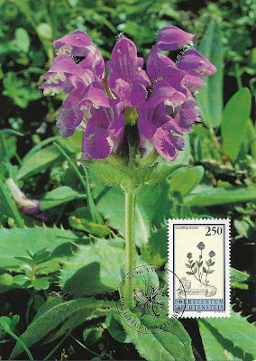 Carte Maximum "Brunelle grandes fleurs" - Liechtenstein 1993