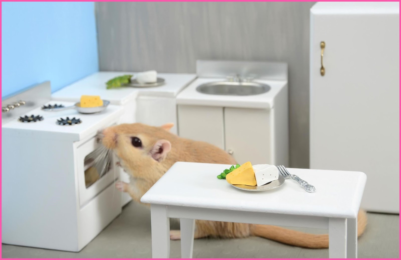 18 Make A Small Kitchen Feel Bigger Ways to Make a Small Kitchen Feel Bigger Credit Make,Small,Kitchen,Feel,Bigger 18 Make A Small Kitchen Feel Bigger Ways to Make a Small Kitchen Feel Bigger Credit Make,Small,Kitchen,Feel,Bigger