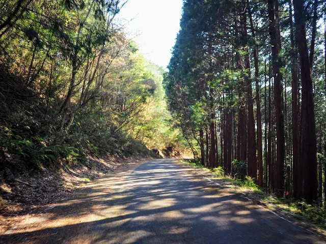 林道東山線