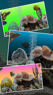 MARINE AQUARIUM