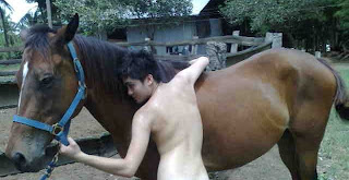 Pinoy Equus