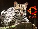 Download Ubuntu 11.10 Oneiric Ocelot