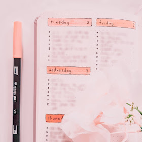 Plan With Me June Bullet Journal Layout