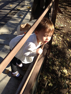 toddler at the franklin cider mill