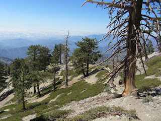 View southwest from Old Baldy Trail