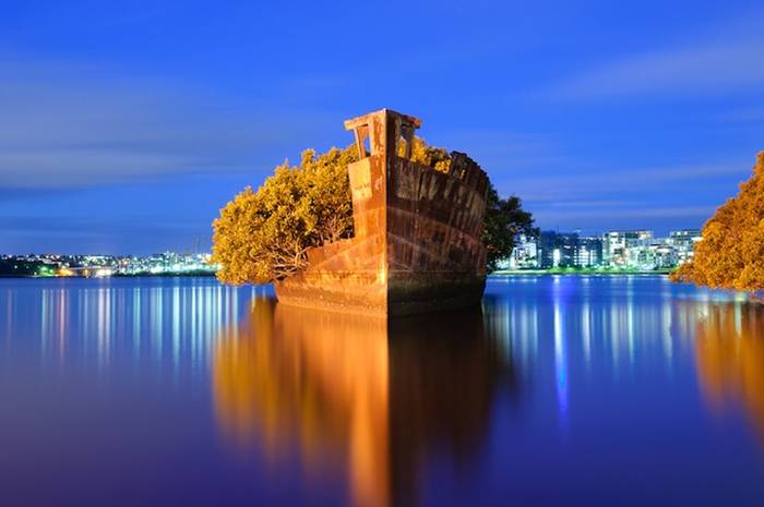 The SS Ayrfield is one of many decommissioned ships in the Homebush Bay, just west of Sydney, but what separates it from the other stranded vessels is the incredible foliage that adorns the rusted hull. The beautiful spectacle, also referred to as The Floating Forest, adds a bit of life to the area, which happens to be a sort of ship graveyard.