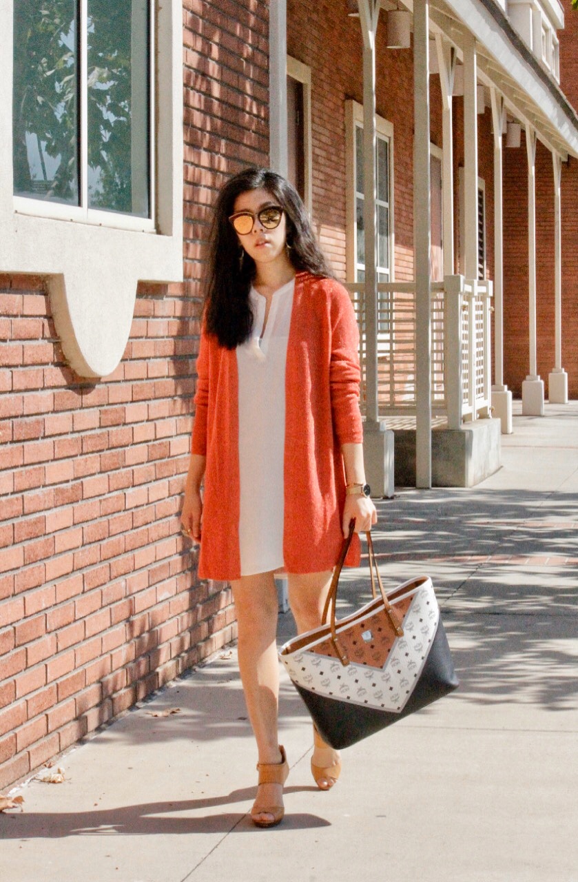 Adrienne Nguyen_Fall Aesthetic Lookbook_Coach Heels and MCM Chevron Tote_White Dress for Fall