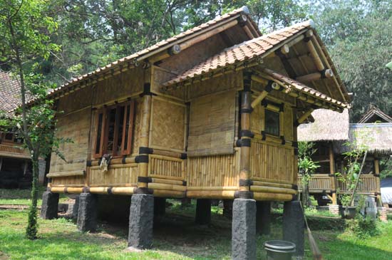 Kebun Bambu Rumah  Bambu Pilihan yang cantik