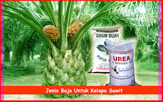 Jenis Baja Untuk Kelapa Sawit 