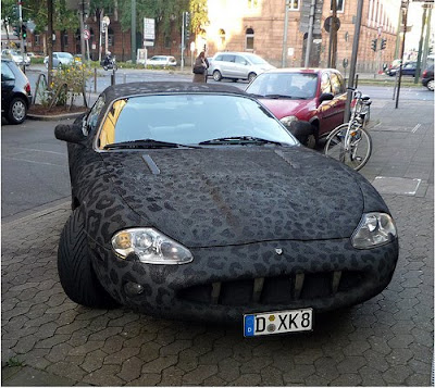 Faux Crocodile Skin Car