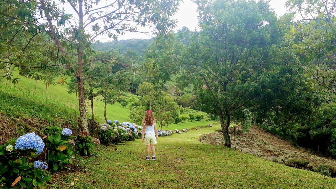 O Contemplário de Cunha - Campos de Lavanda em São Paulo