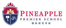 Lowongan Kerja Guru Medan Terbaru Juni 2022 di Pineapple Premier School