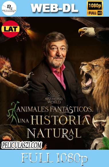 Fantastic Beasts A Natural History (2022) Full HD WEB-DL 1080p Dual-Latino