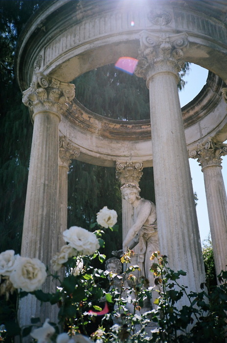 Rose Garden at The Huntington Library, California. | flowers, florals, roses, garden, vintage, film photography, places, travel, California | Allegory of Vanity