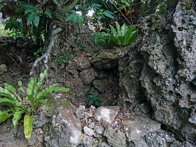 玉城城跡(玉城グスク)の写真