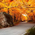 Autumn In Vermont