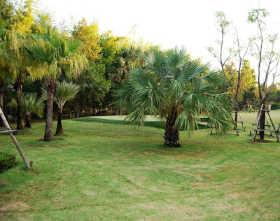 Buriram Village Home Lawn Garden Watering Sprinkler System Installation