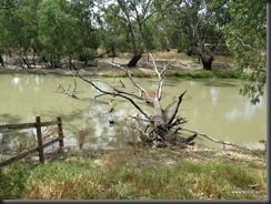 180315 084 Jerilderie