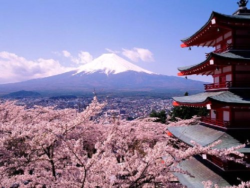 During World War II the cherry blossom was used to motivate the Japanese