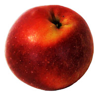 vergers biologique abricot pomme poires cerise prune pêche framboise