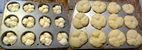 No Knead Dinner Rolls