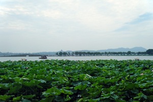 DSCF9262