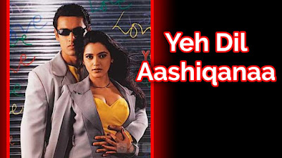 Yeh Dil Aashiqanaa film budget, Yeh Dil Aashiqanaa film collection