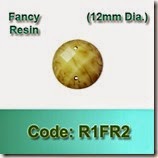 R1FR2 copy