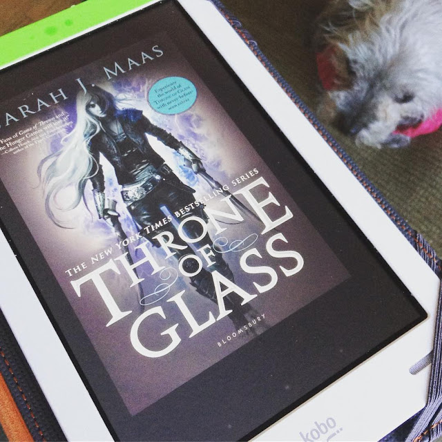 Murchie lies on a brown pillow below a glass-topped table. He wears his pink and cream sweater. On the table is a white Kobo with the cover of Throne of Glass on its screen. The cover features a white girl with very long blonde hair. She wears a lot of leather and holds a jagged sword in each hand.