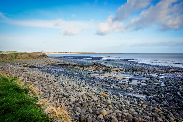 dog friendly holiday cottages in embleton, northumberland, mandy charlton, photographer, writer, blogger