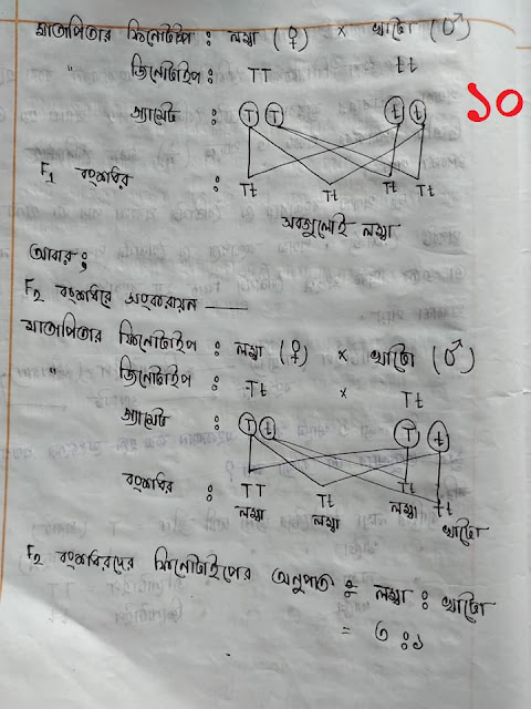 SSC Biology Chapter 12 Hand Note