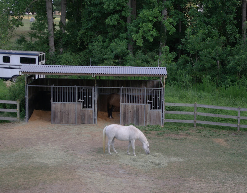 horse pasture shelter