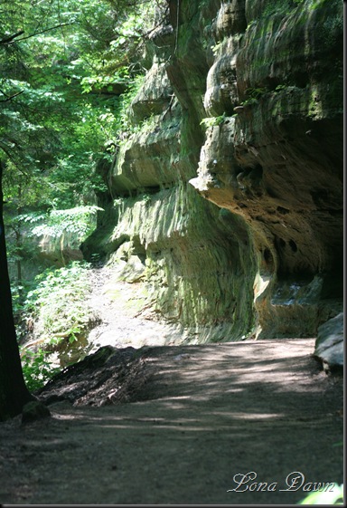 OMC_GorgeTrail2